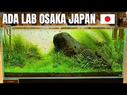 FULL TOUR OF THE BEST AQUARIUM POP UP STORE IN OSAKA JAPAN!