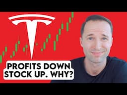 Tesla Stock Earnings Dropped 71% | Full Breakdown