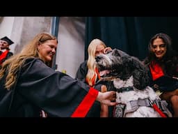 Behind the Commencement