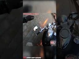 Animal Jumps Infront of Your Bike? Run it over!