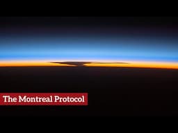 The Montreal Protocol