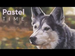 Husky Dog in Soft Pastel - Timelapse