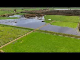 Flooding and The Feildays