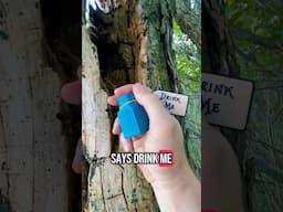 Alice In Wonderland Geocache! #geocaching #geocache