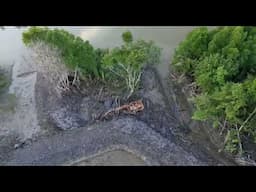 PART 21 EXCAVATOR SUMITOMO S2801 CUCI HUTAN PAYA NIPAH