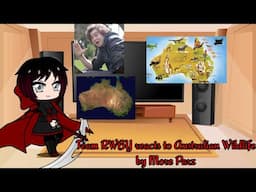 Team RWBY reacts to Australian Wildlife by @moreparz