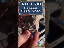 Mystery Rock #29: What’s Inside This Bizarre Rock?
