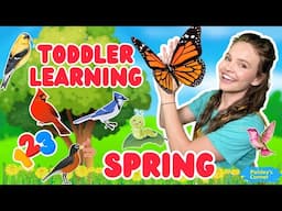 Toddler Learning: Let’s Go on a Walk Song, Birds & Toddler Activities | Educational Videos for Kids