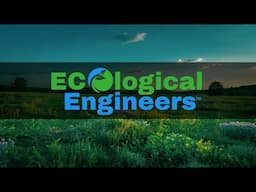 Rethinking Pest Control: How Ecological Engineers Are Protecting Health & Restoring Ecosystems