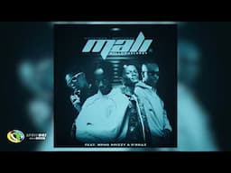 Novatron, Hotfurze and Mellow & Sleazy -  Mali [Feat. Mpho Spizzy and D'braz ] (Official Audio)