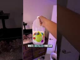 How to clean aquarium equipment!