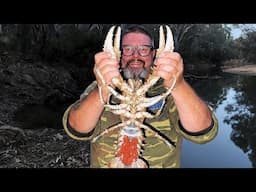 Giant Freshwater Crayfish: Cray Opening 2025