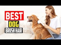 ✅Top 5 Best Brush For Dog Hair in 2025
