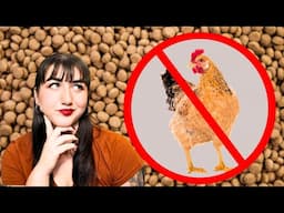 Why Your Dog is Allergic to Chicken (And How to Fix It)