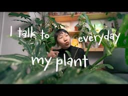5 Lessons Houseplants Help Me Manage Stress (I Needed This 😩🌱)
