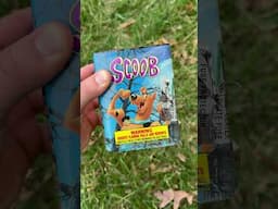 Scoob Firework!