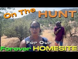 On THE HUNT For Our FOREVER HOMESITE🏡 Could This Be THE ONE?👀#offgrid #homestead #solarenergy