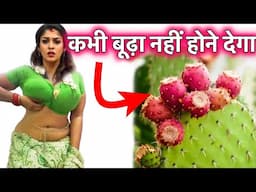 इसका सेवन कभी बूढ़ा नहीं होने देगा तोड़ कर लेना औषधीय गुणों का ख़ज़ाना है ये पौधा