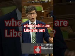 Liberals are persistently on the side of their elite insider friends