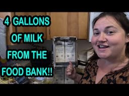 Real Life: Food Bank Grocery Haul & What I Cooked!