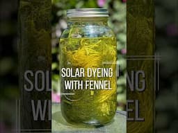 Wild Fennel NATURAL DYE Using the Sun: Easy summer craft!