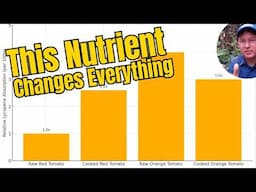 Raw Vegan Isn’t Enough? One Nutrient Explains Why