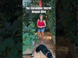Last Part Of The Cucumber Secret
