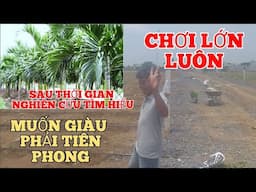 Không để đất hoang anh Cường Cá lóc quyết tâm chơi lớn | bỏ tiền tỷ vào khu đất 2 ha
