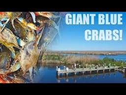 CAJUN Style Crabbing with Paw Paw- How to Boil Blue Crabs!