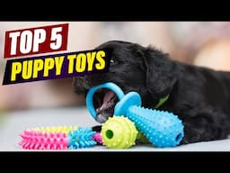Top 5 Best Puppy Toys for Fun, Training & Teething in 2025!