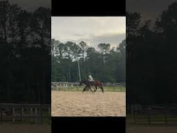 got trot?
