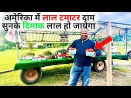 USA  में 1 किलो टमाटर कितने का है  What is COST of TOMATO in AMERICA 2025