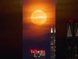 Full moon rise timelapse from the living room #photography #timelapse