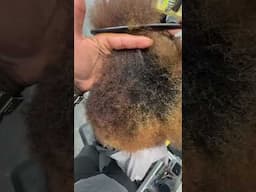 A HEALTHY TRIMM‼️ #locs #damianwalter #healthylocs #dreads #naturalhaircare #haircare #dreadlocks