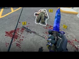 questionable vibes in MY Counter Strike??