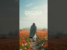 أمام المه‍دي | #islam #arabic #dua #imammehdi #mahdi #shianeali #karbala