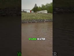 Quick tip for finding walleye on the Great Lakes! #walleye #reels #fishing
