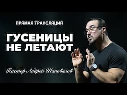 Прямая трансляция  -  «Гусеницы не летают» Пастор Андрей Шаповалов (15/06/25)