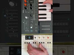 OP-1 + Minifreak Horror Sound Design