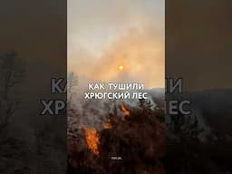 Как ТУШИЛИ Хрюгский лес в Ахтынском районе ДАГЕСТАНА? #дагестан #кавказ #пожар #чп #россия