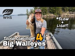 Spring Finesse Fishing For Walleyes In Ontario