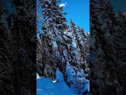 Sunny snow skidays Alps ☀️🎄☀️🎄