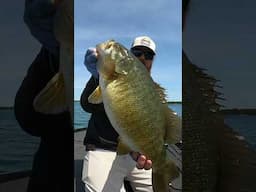 😳 MONSTER SMALLMOUTH ON ULTRALIGHT! 😳