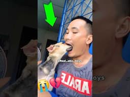 TRY NOT TO LAUGH PRANK 🤣💔I DON'T WANT PEACE I WANT PROBLEMS ALWAYS #funny #mrbeast #trending #shorts