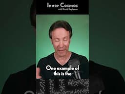 The Astonishing Variety of Human Experiences | INNER COSMOS WITH DAVID EAGLEMAN #shorts