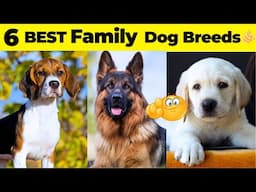 6 Best Family Dogs Breeds In India | Best Dog Breeds For Indian Families