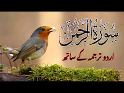 Surah Rahman | Heart Touching Quran Tilawat 🎧 | Urdu Tarjuma | سورۃ الرحمن ترجمے کے ساتھ