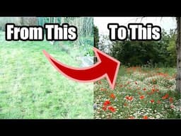 I'm Creating A Wild Garden!