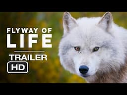 Flyway of Life (2025) | OFFICIAL TRAILER