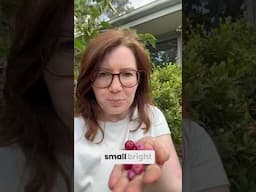 You Won't Believe How Easy Nature Learning is with Bush Tucker and Native Plants